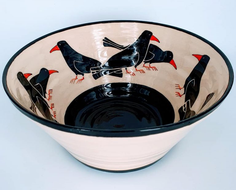 Cornish chough Collections